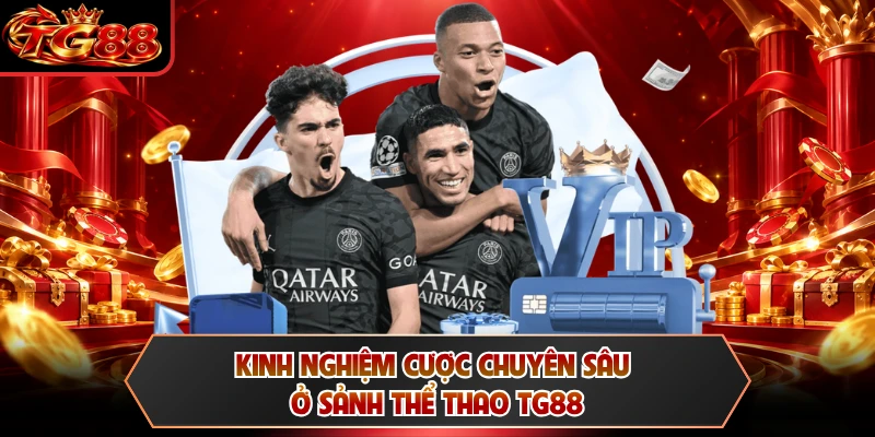 Kinh nghiệm cược chuyên sâu ở sảnh thể thao TG88