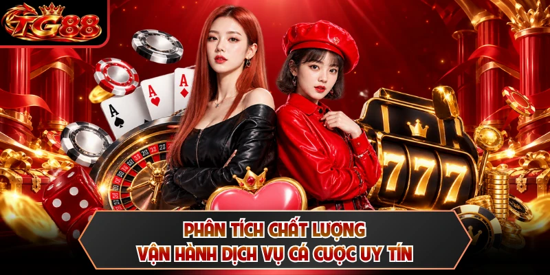 Phân tích chất lượng vận hành dịch vụ cá cược uy tín