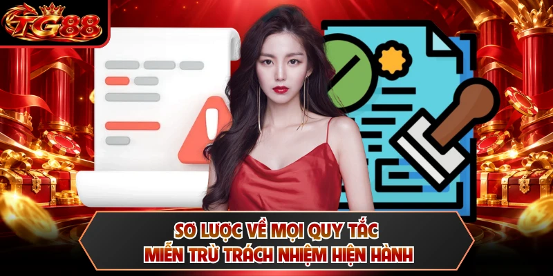 Sơ lược về mọi quy tắc miễn trừ trách nhiệm hiện hành