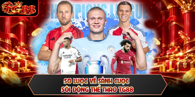 Sơ lược về sảnh cược sôi động thể thao TG88